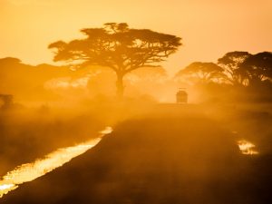 Car Tour Africa 10 days